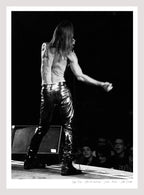 IGGY POP
