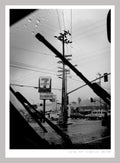 LA RAIN