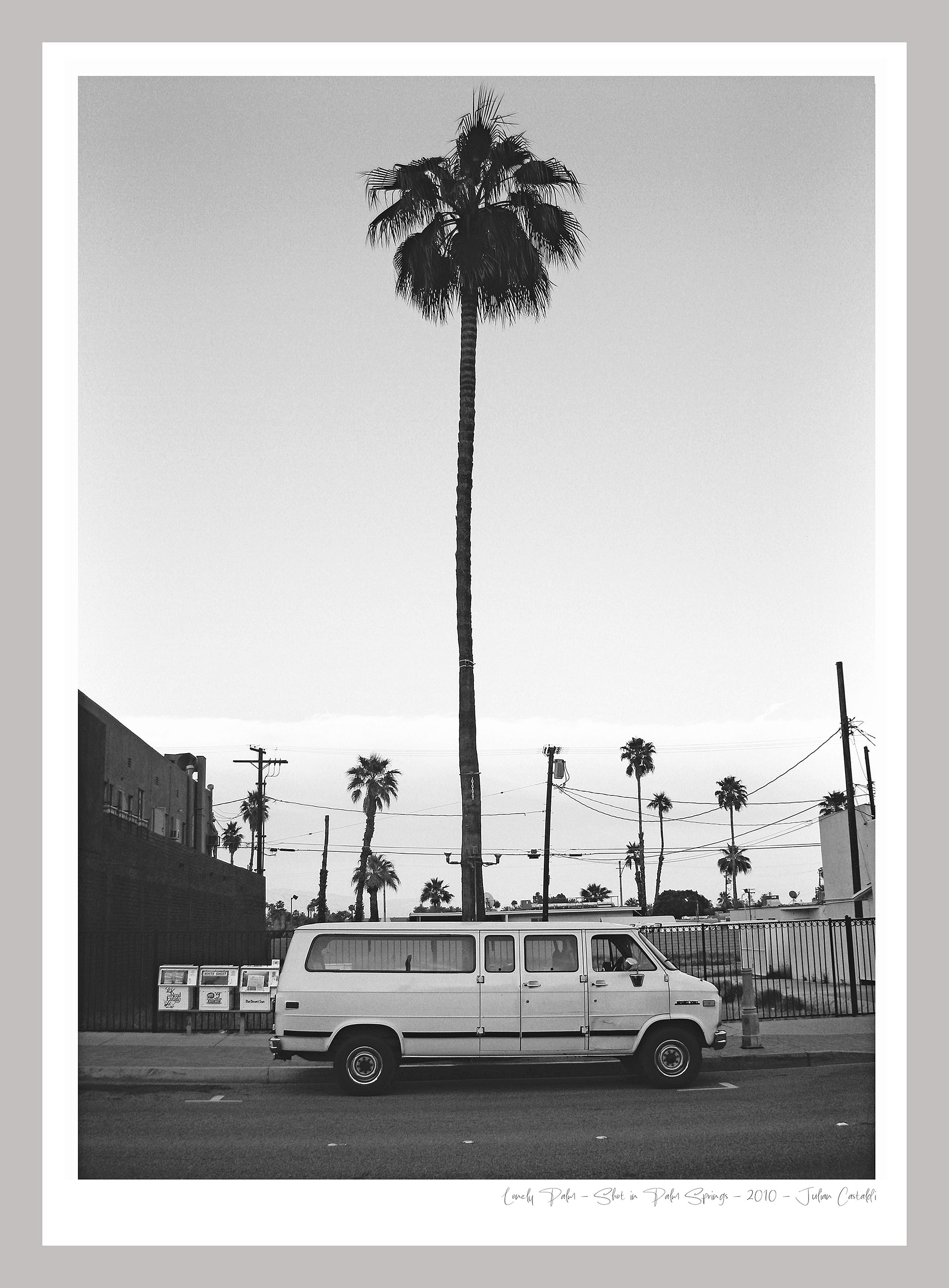 LONELY PALM
