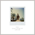 Madonna — original Polaroid fine art print by Julian Castaldi, 170gsm satin archival paper