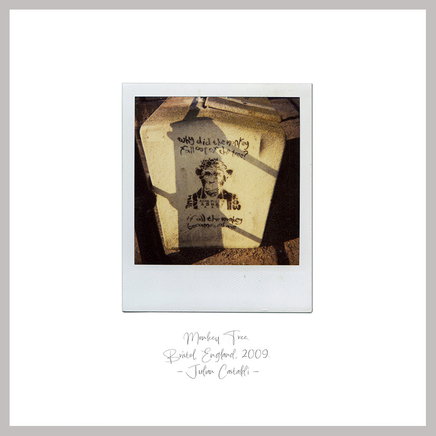 Monkey Tree — original Polaroid fine art print by Julian Castaldi, 170gsm satin archival paper