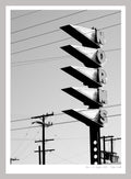 NORMS