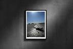Gator - Portrait Frame