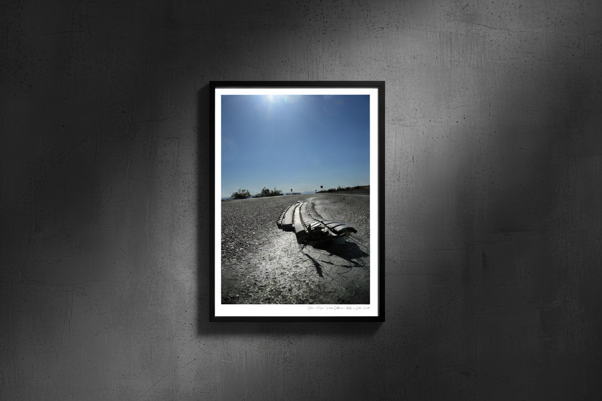 Gator - Portrait Frame