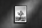 Joshua Tree - Portrait Frame