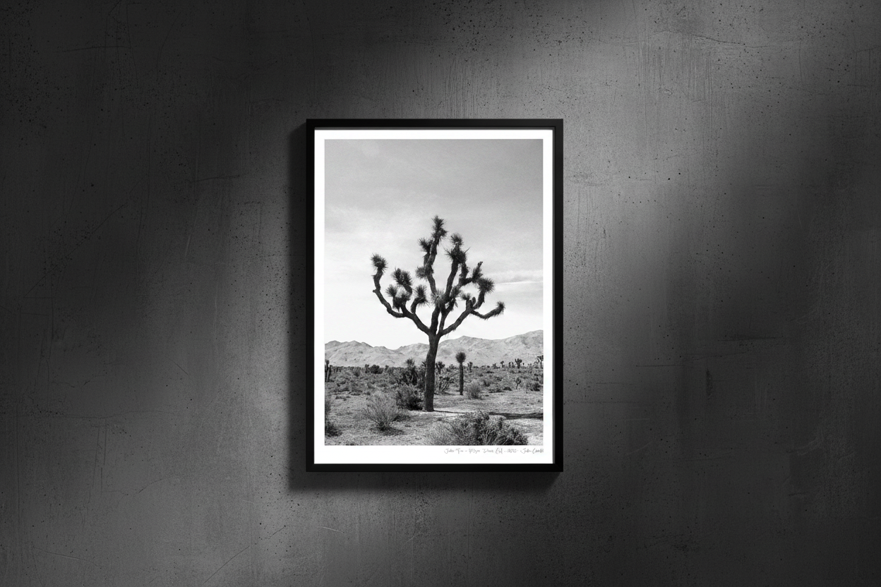 Joshua Tree - Portrait Frame