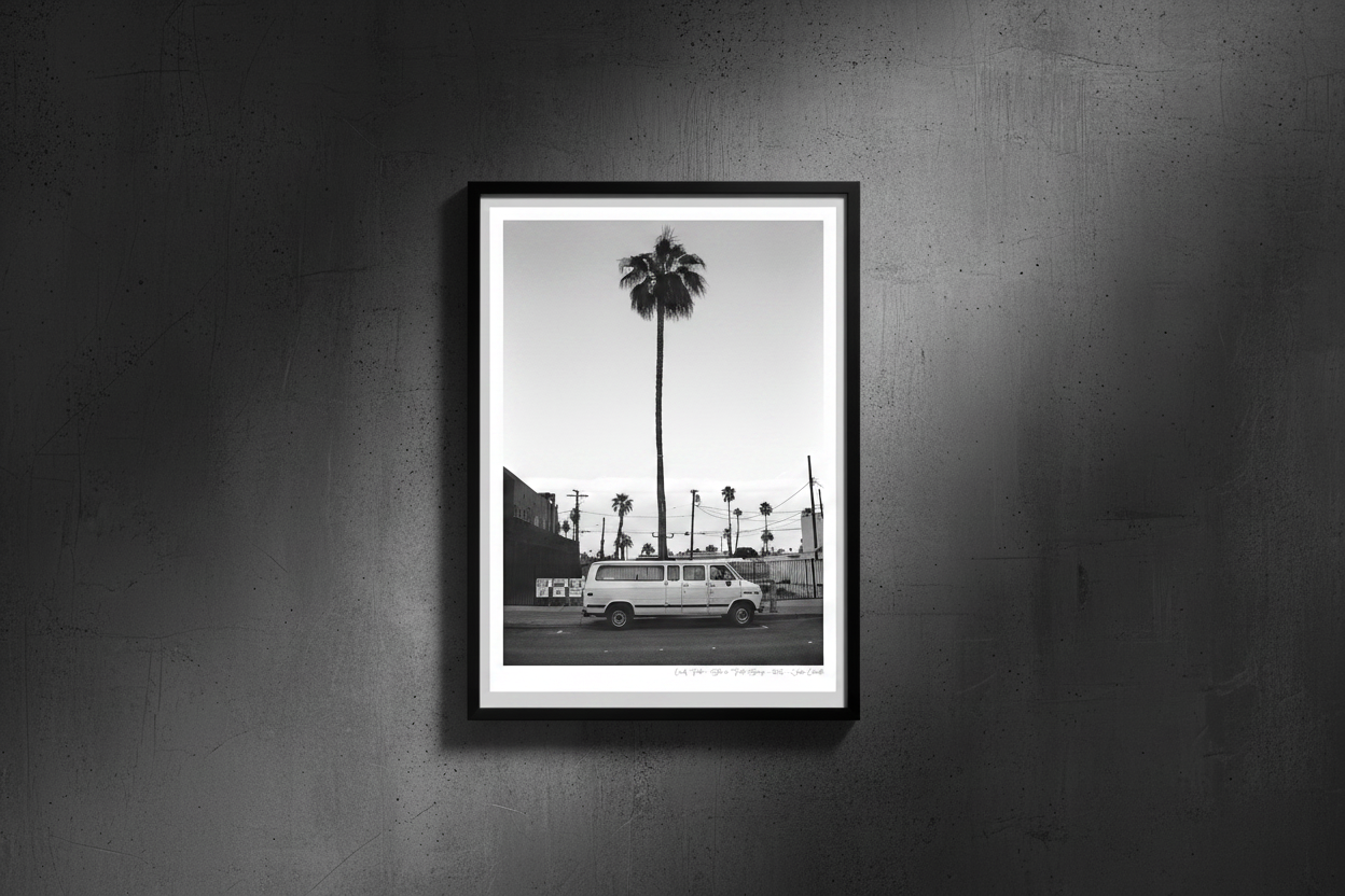 Lonely Palm - Portrait Frame