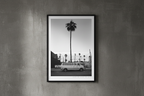 LONELY PALM